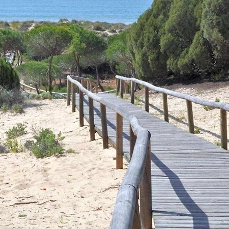 Apartamento Nuevo Junto A La Playa Vistas Al Mar ปุนตาอุมเบรีย ภายนอก รูปภาพ